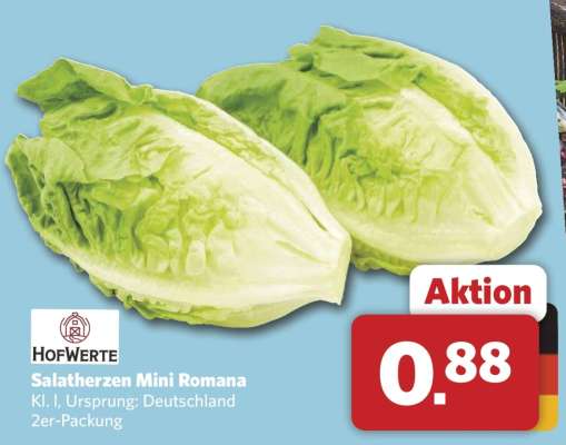 Salatherzen Mini Romana