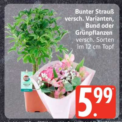 Bunter Strauß oder Grünpflanzen