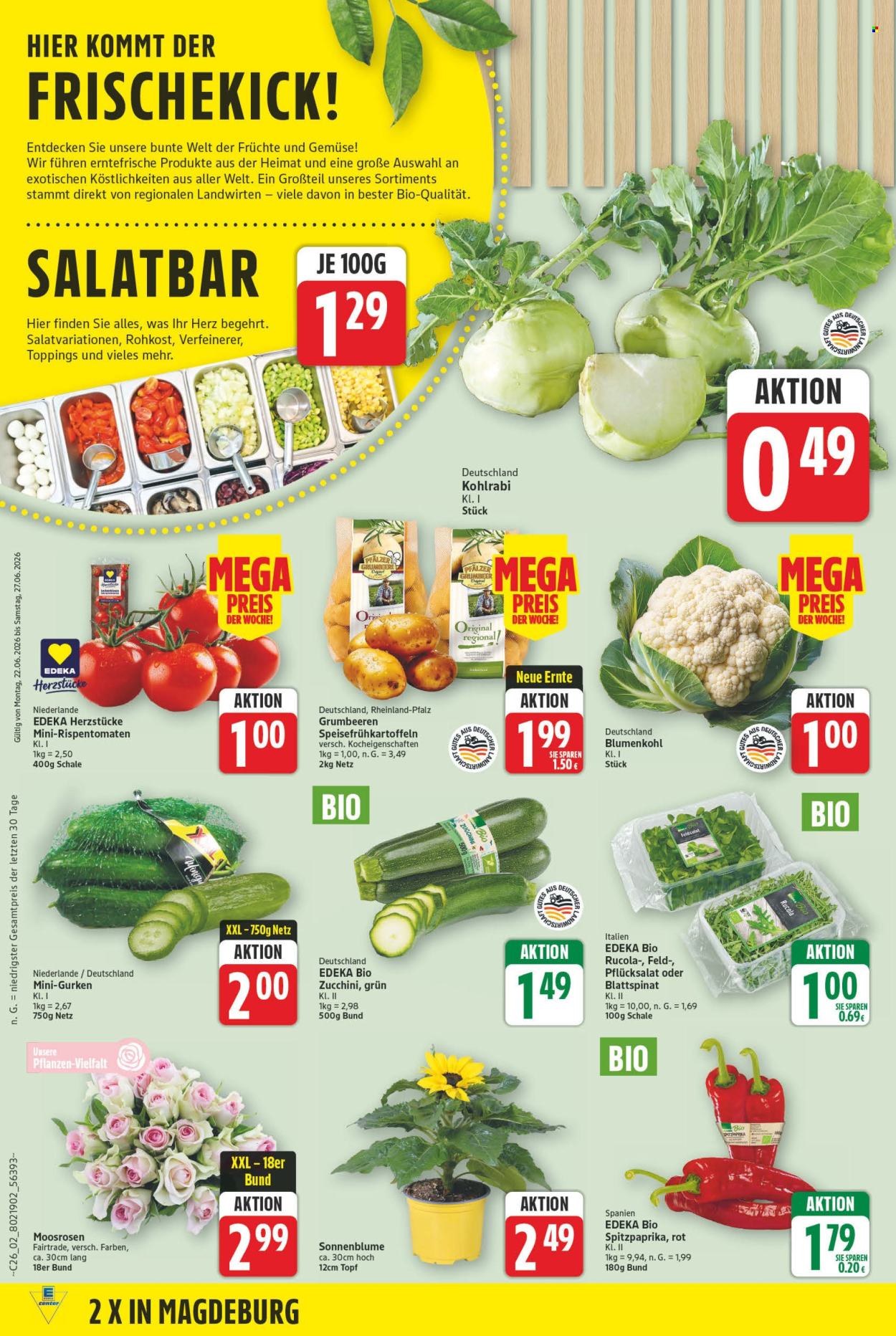 E center Prospekte  - 22.06.2026 - 27.06.2026. Seite 2