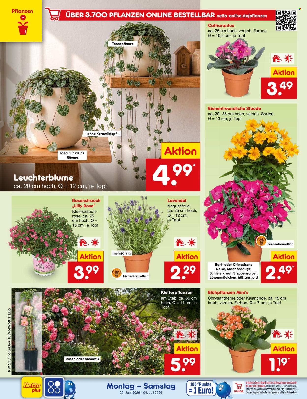 Netto Marken-Discount Prospekte  - 29.06.2026 - 4.07.2026. Seite 20