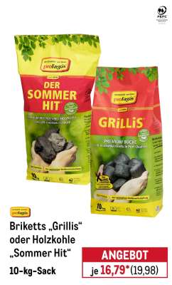 Briketts „Grillis“ oder Holzkohle „Sommer Hit“