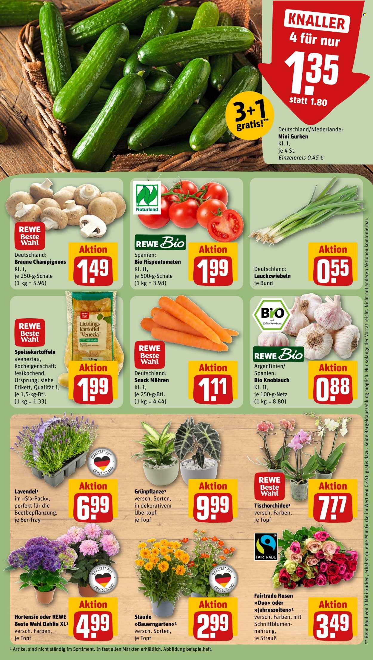 REWE Prospekte  - 29.06.2026 - 5.07.2026. Seite 9