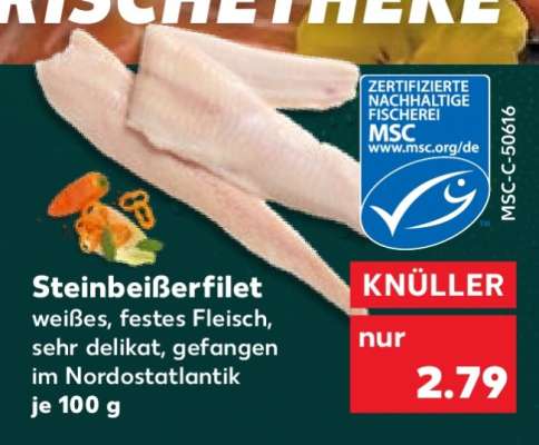 Steinbeißerfilet