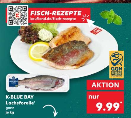 K-BLUE BAY Lachsforelle