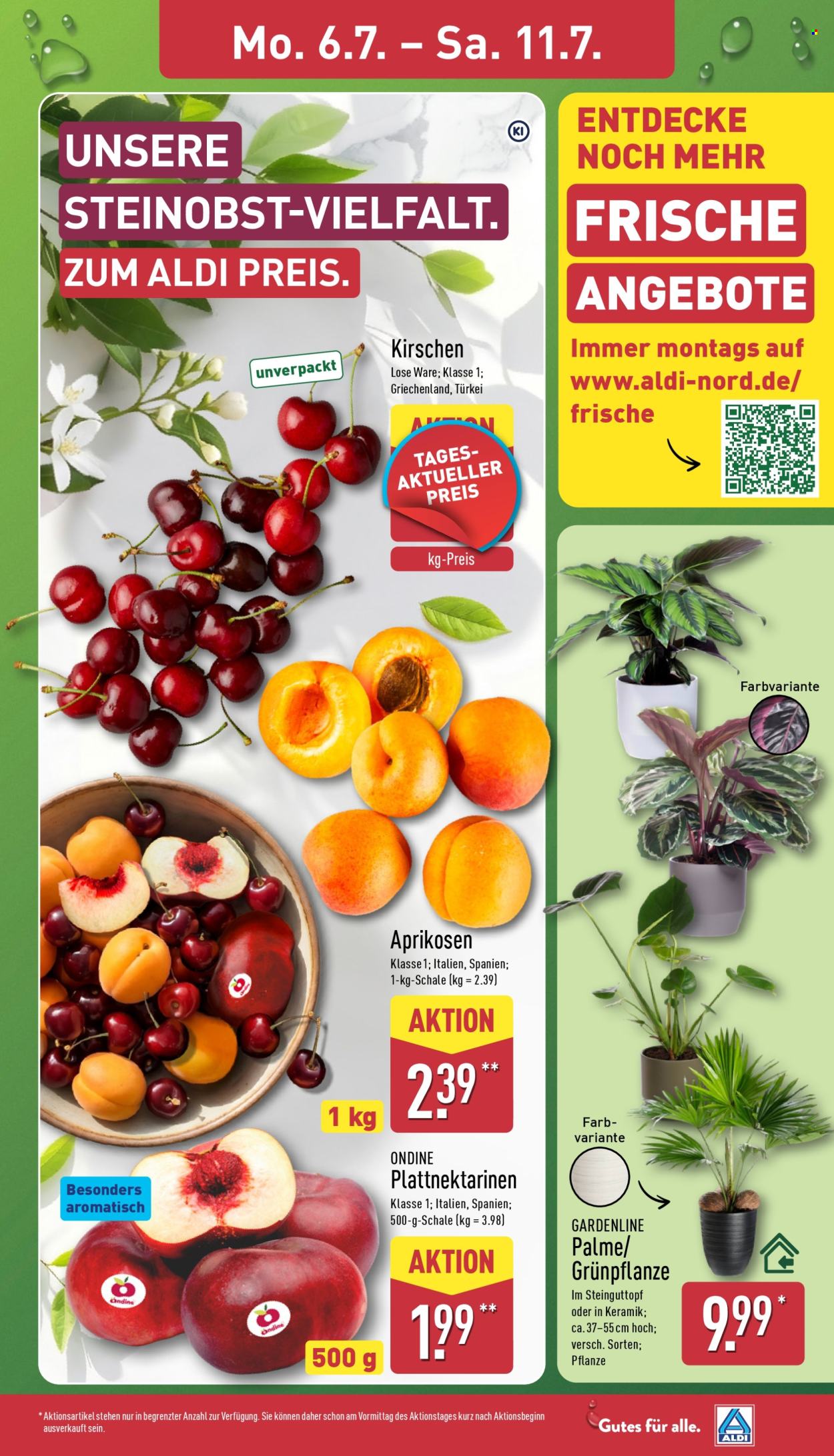 ALDI Nord Prospekte  - 6.07.2026 - 11.07.2026. Seite 3