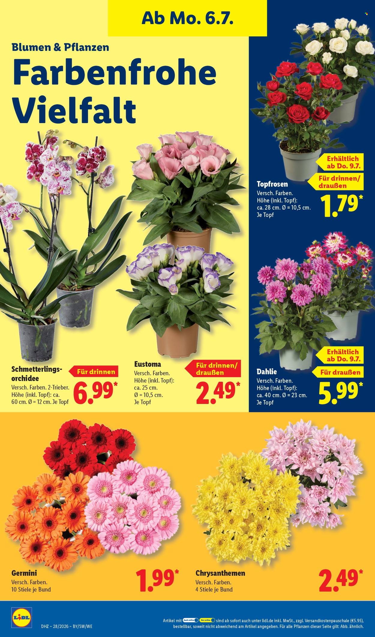 Lidl Prospekte  - 6.07.2026 - 11.07.2026. Seite 22