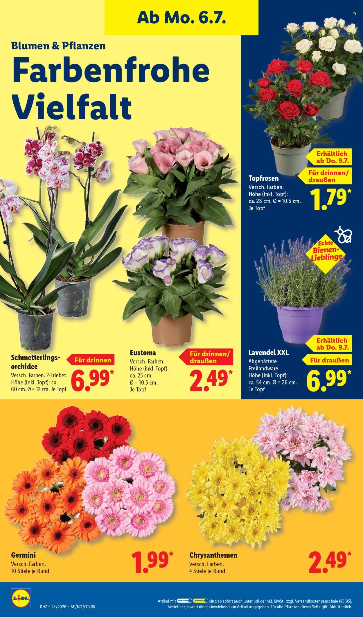 Lidl Prospekte  - 6.07.2026 - 11.07.2026. Seite 22