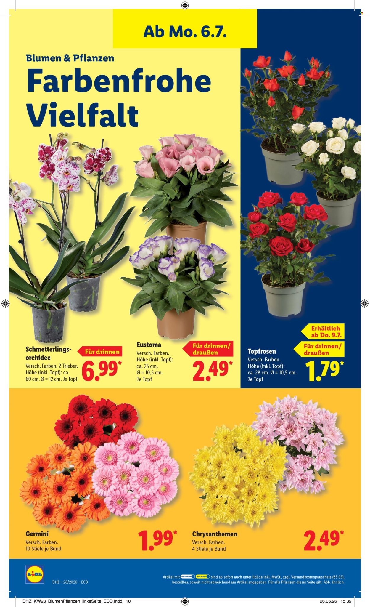Lidl Prospekte  - 6.07.2026 - 11.07.2026. Seite 22