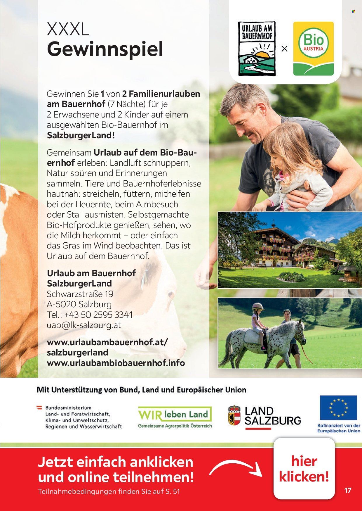 XXXLutz Prospekte  - 1.08.2026 - 31.01.2027. Seite 17