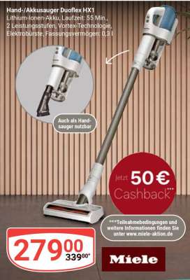 Hand-/Akkusauger Duoflex HX1
