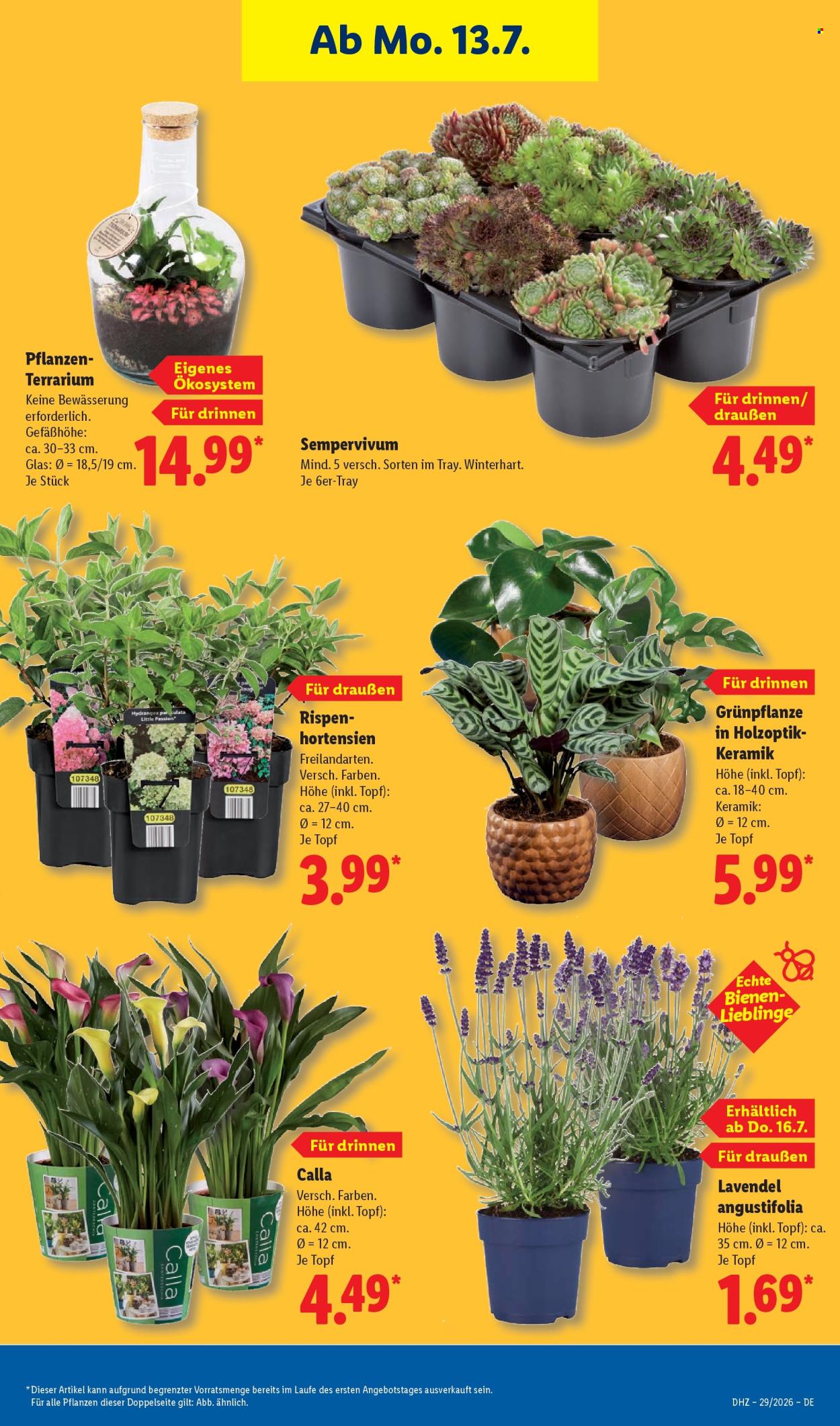 Lidl Prospekte  - 13.07.2026 - 18.07.2026. Seite 27