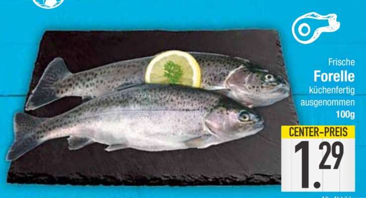 Frische Forelle