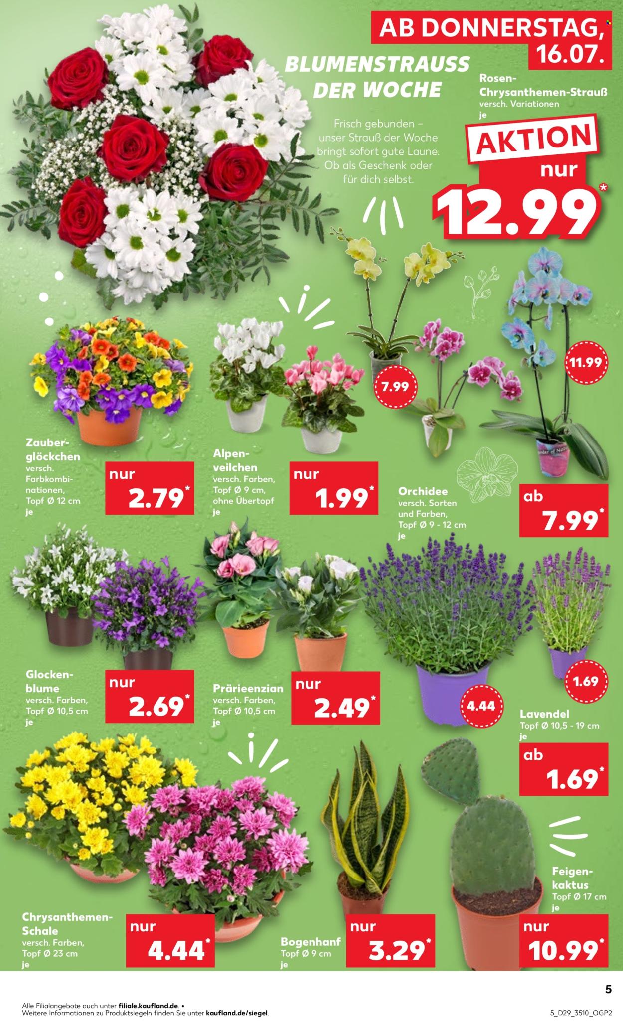 Leták Kaufland - 16.7.2026 - 22.7.2026. Strana 5