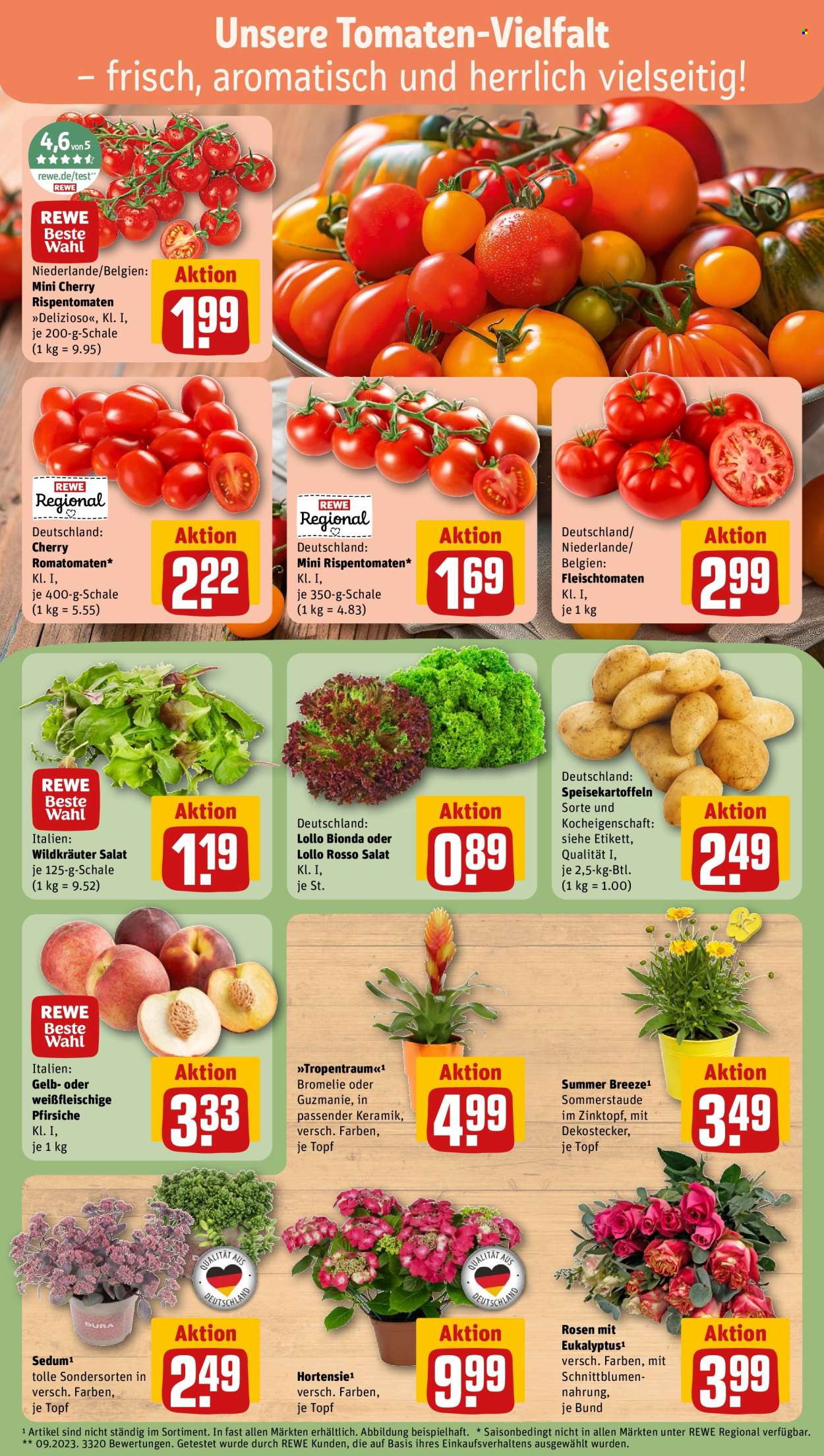 REWE Prospekte  - 13.07.2026 - 19.07.2026. Seite 7