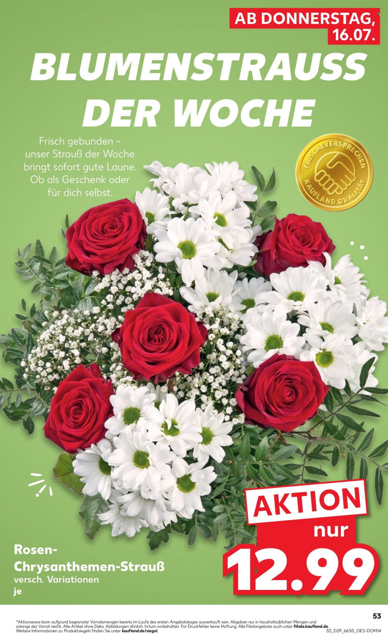 Kaufland Prospekte  - 16.07.2026 - 22.07.2026. Seite 53