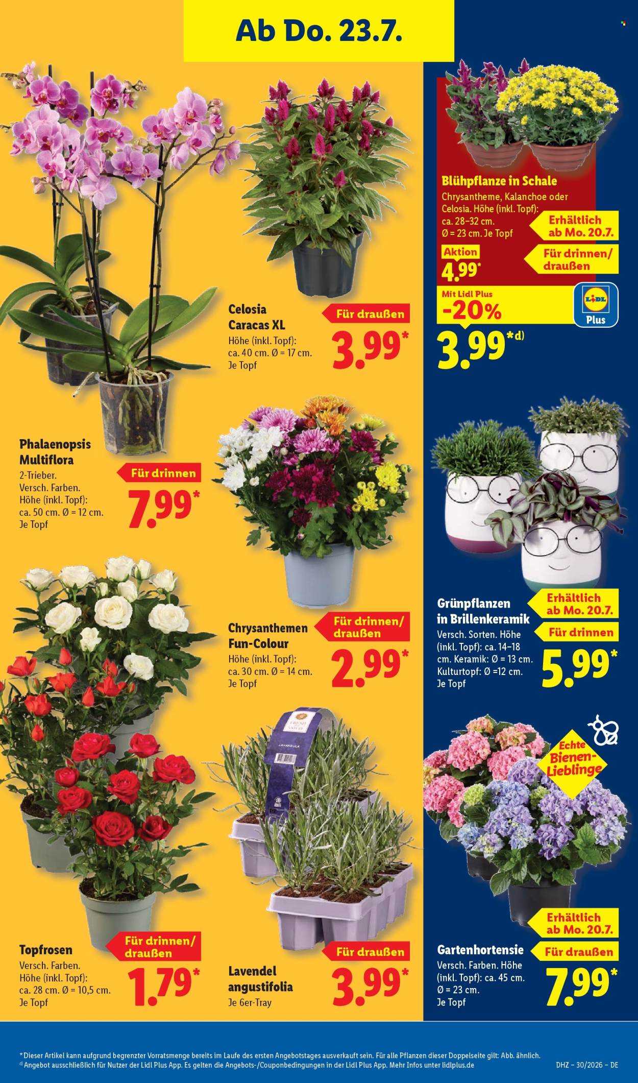 Lidl Prospekte  - 20.07.2026 - 25.07.2026. Seite 29