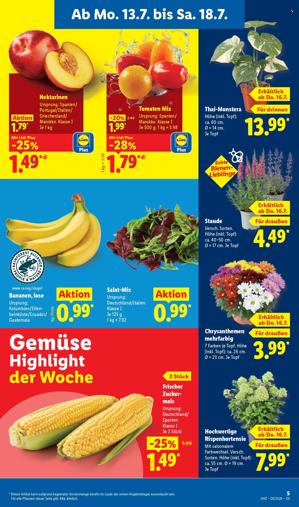 Lidl Prospekte  - 13.07.2026 - 18.07.2026. Seite 3
