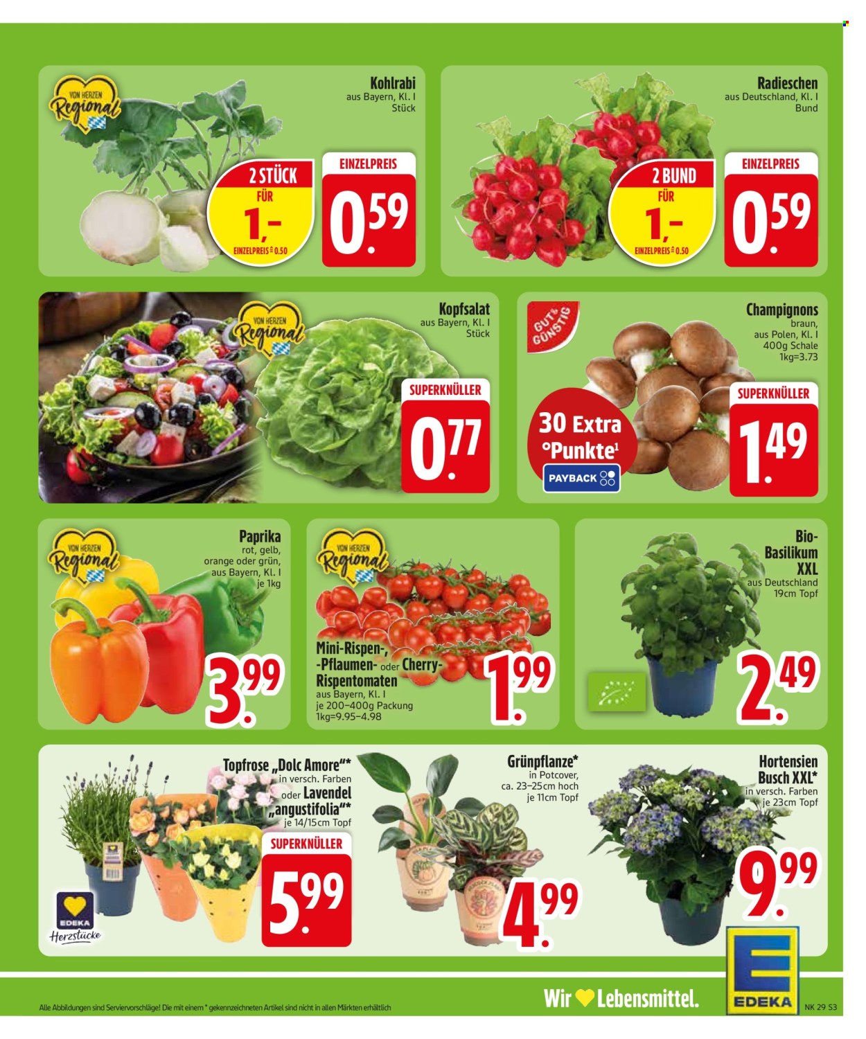 Edeka Prospekte  - 13.07.2026 - 18.07.2026. Seite 5