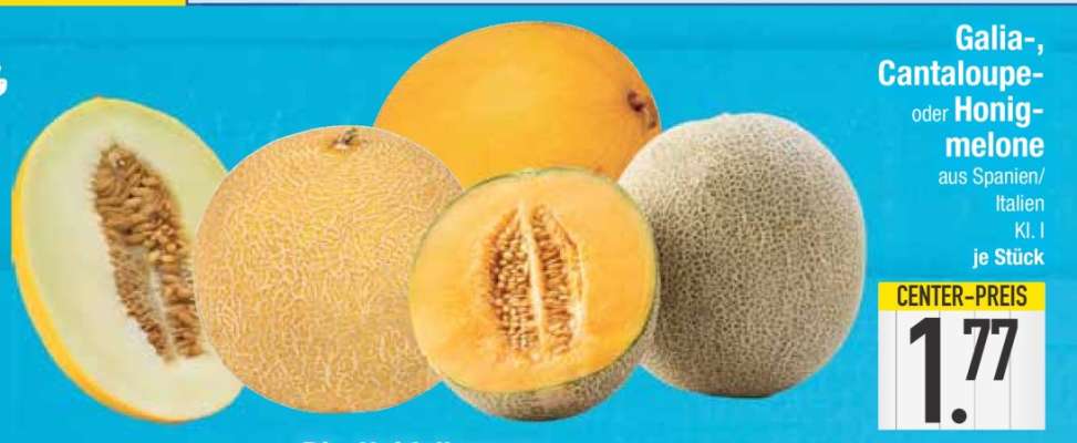 Galia-, Cantaloupe-, oder Honigmelone