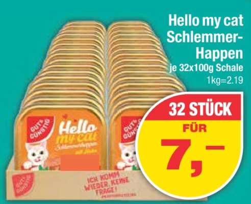 Hello my cat Schlemmer-Happen