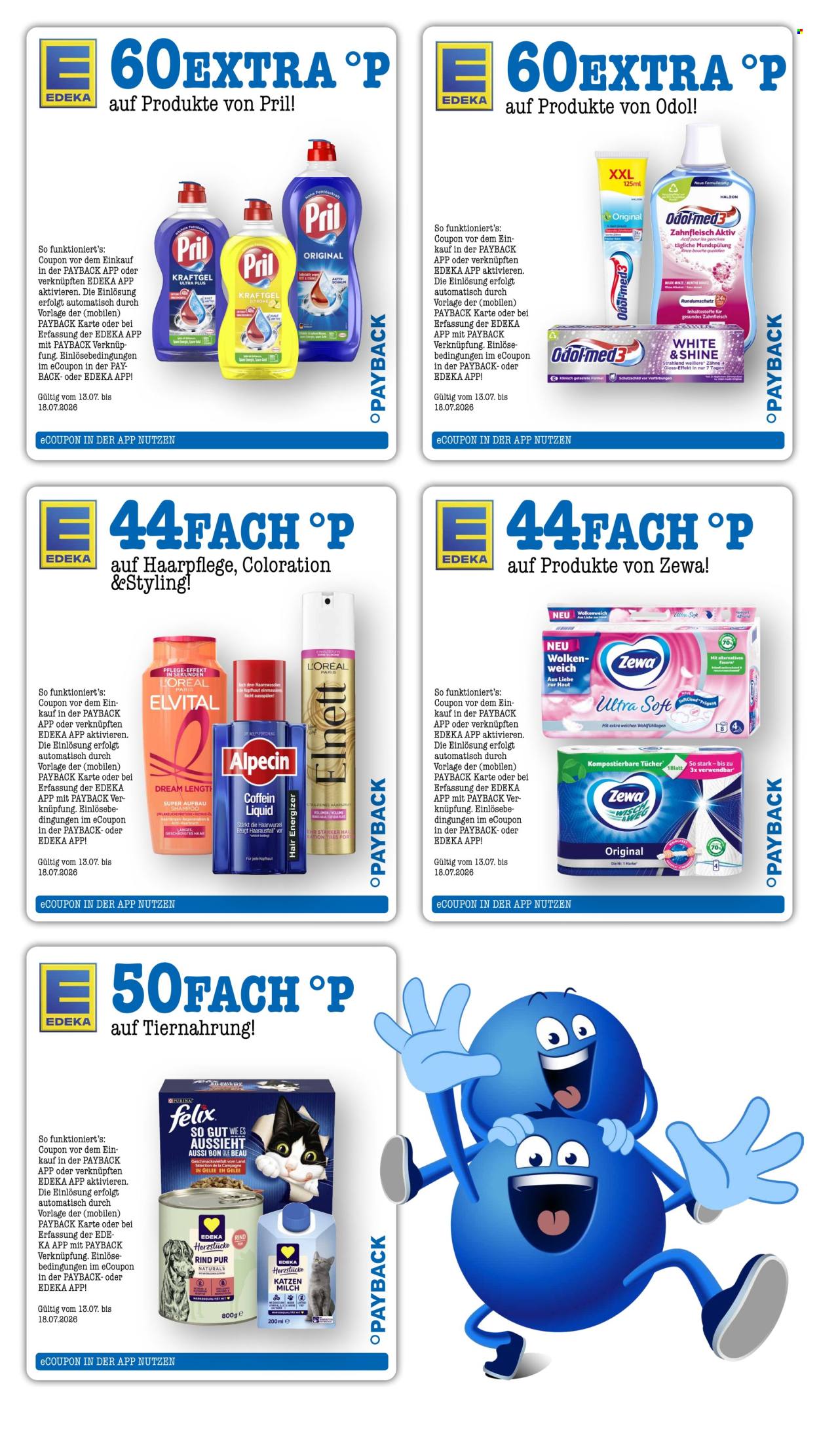 Scheck-in Prospekte  - 13.07.2026 - 18.07.2026. Seite 65