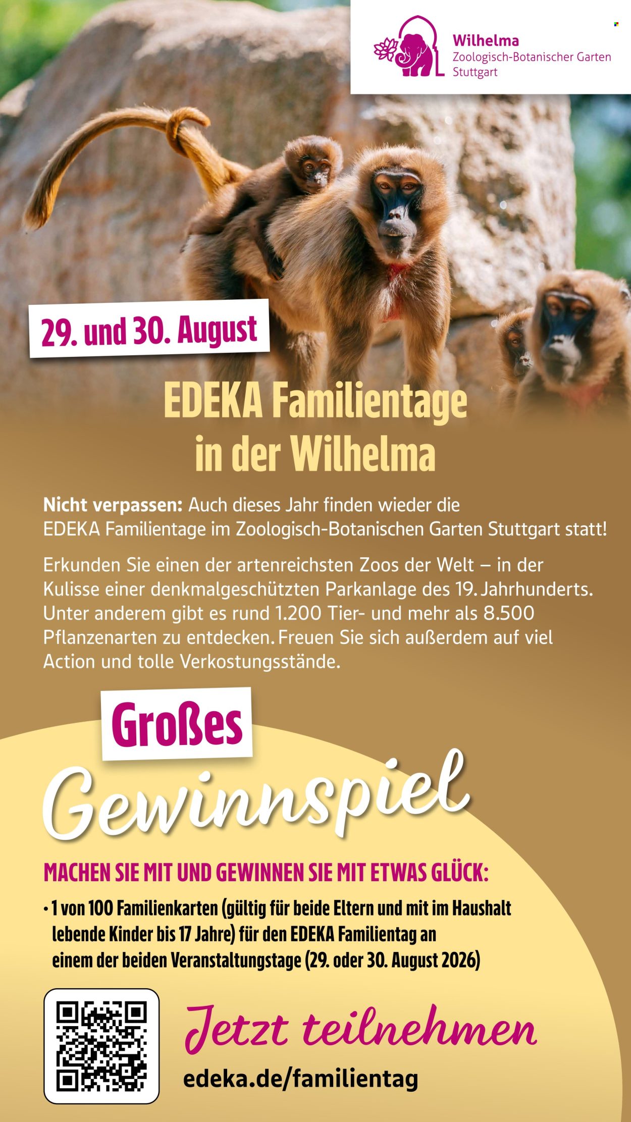 E center Prospekte  - 13.07.2026 - 18.07.2026. Seite 56