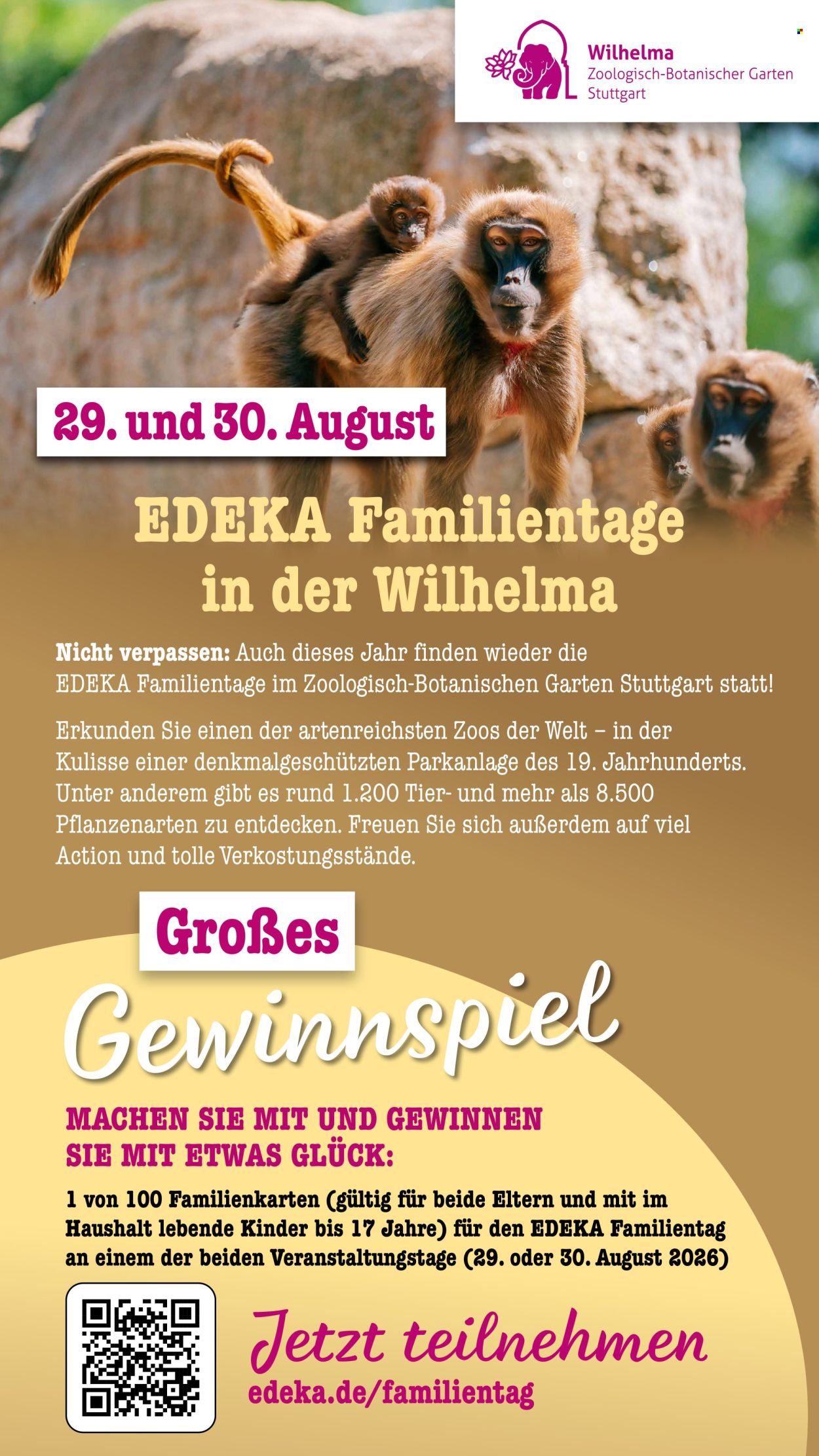 Scheck-in Prospekte  - 13.07.2026 - 18.07.2026. Seite 73