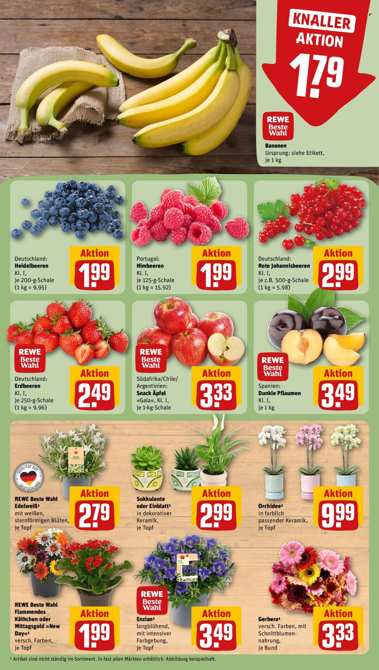 Leták REWE - 20.7.2026 - 26.7.2026. Strana 9