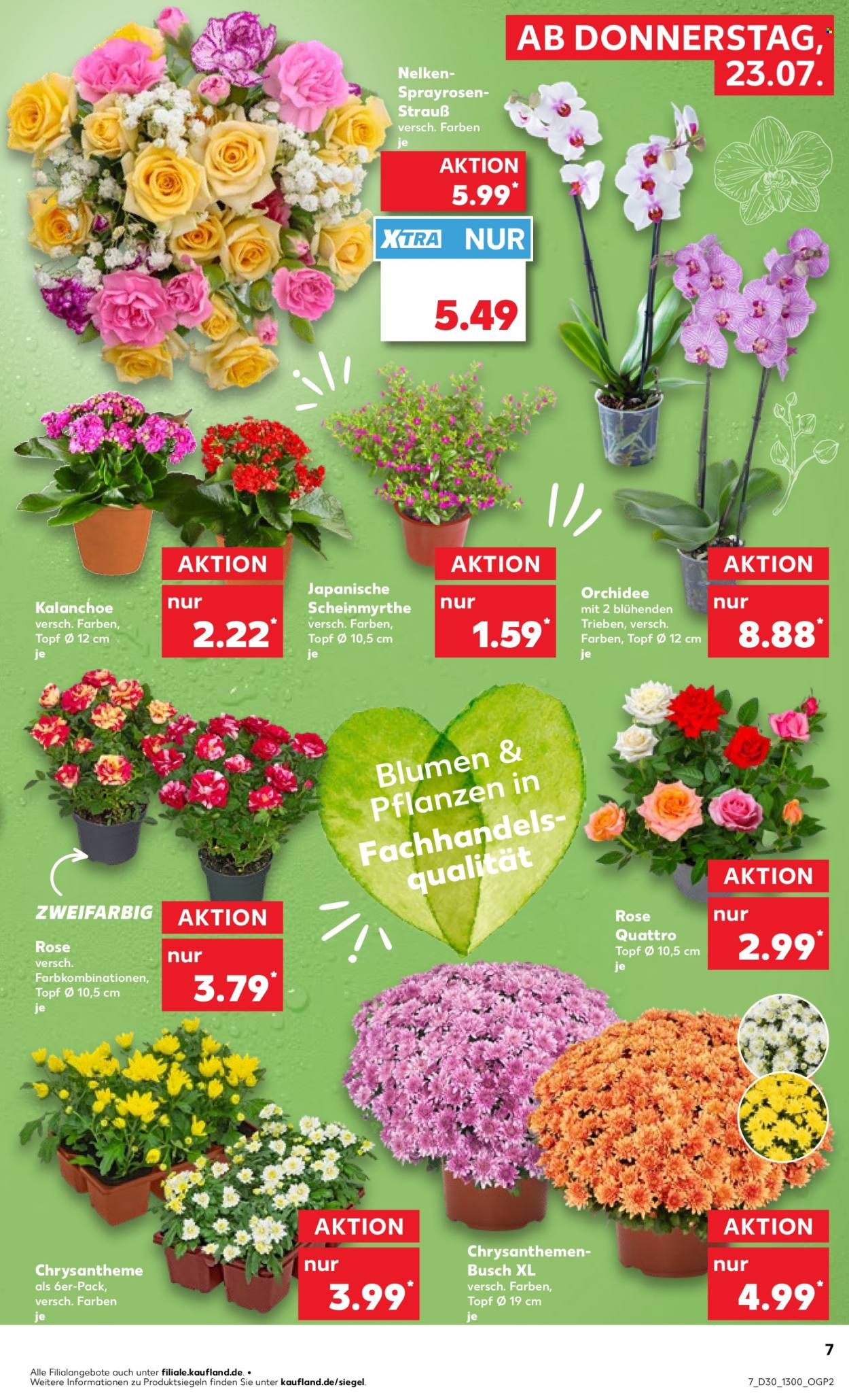 Kaufland Prospekte  - 23.07.2026 - 29.07.2026. Seite 7