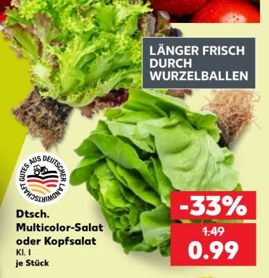 Dtsch. Multicolor-Salat oder Kopfsalat