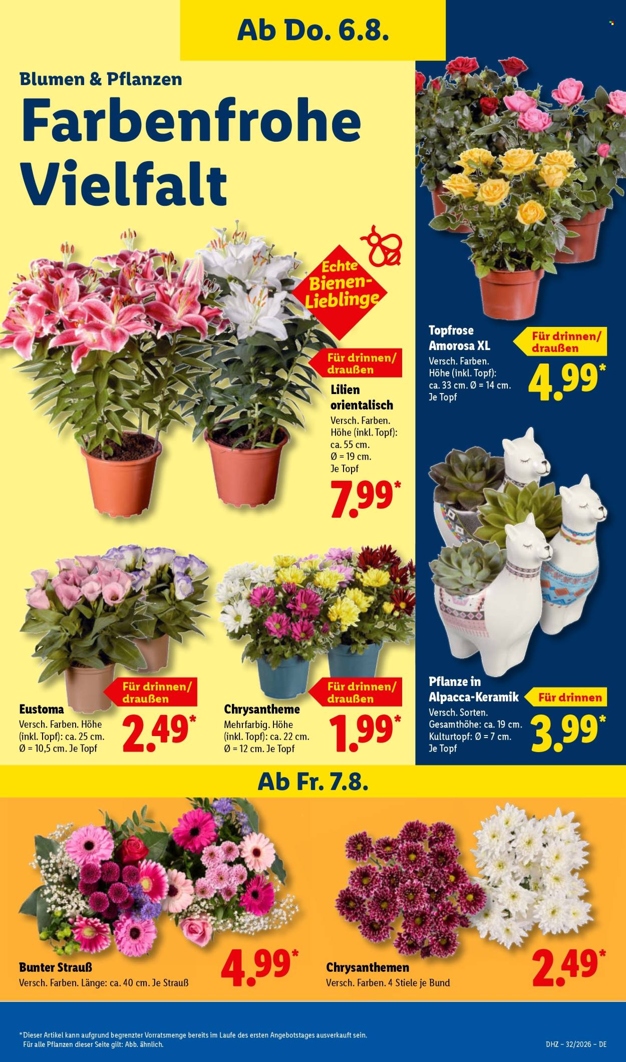 Lidl Prospekte  - 3.08.2026 - 8.08.2026. Seite 7