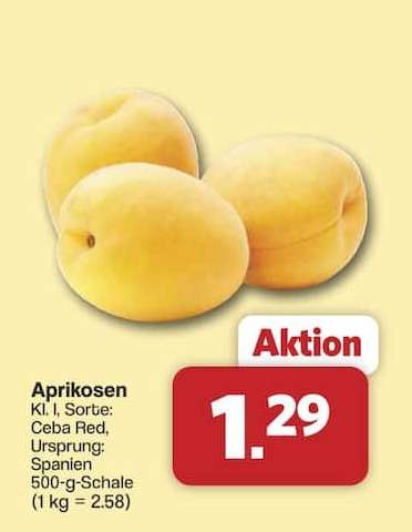 Aprikosen*