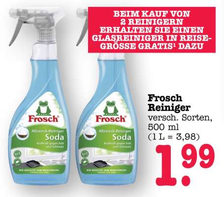 Frosch Reiniger