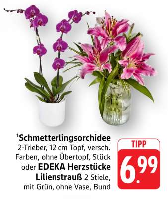 Schmetterlingsorchidee oder EDEKA Herzstücke Lilienstrauß