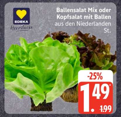Ballensalat Mix oder Kopfsalat mit Ballen