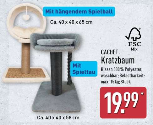 CACHET Kratzbaum