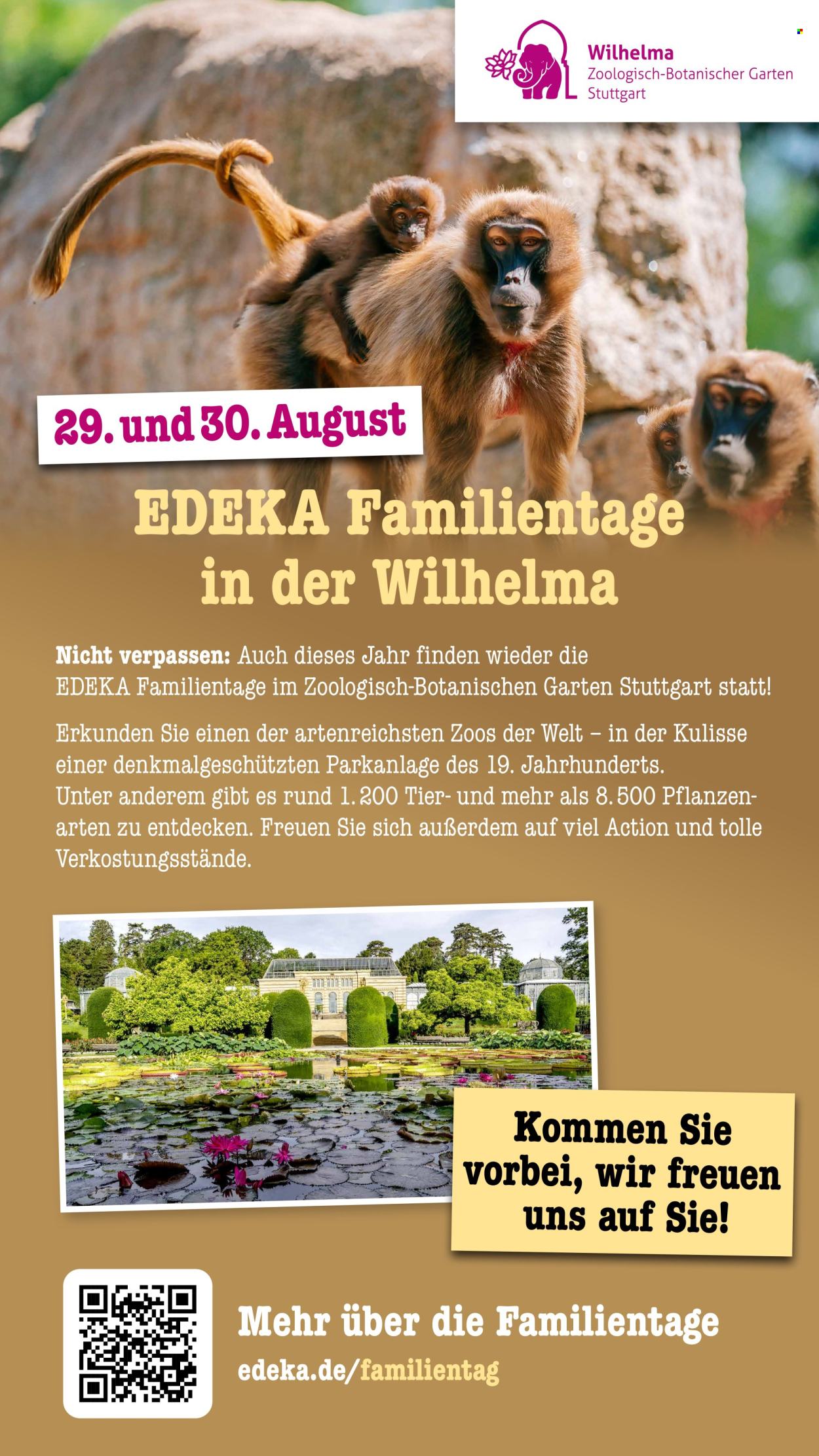 Leták Scheck-in - 27.7.2026 - 1.8.2026. Strana 75