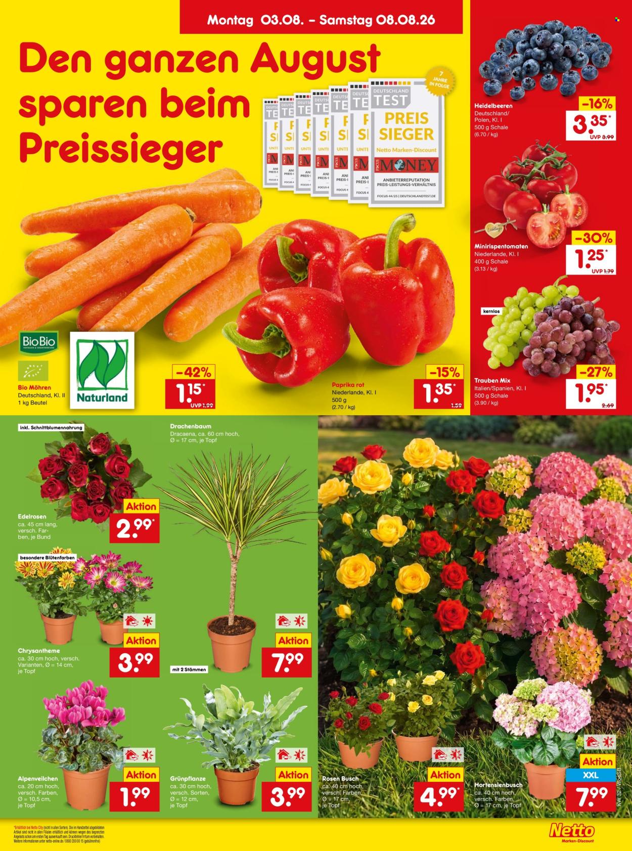 Netto Marken-Discount Prospekte  - 3.08.2026 - 8.08.2026. Seite 11