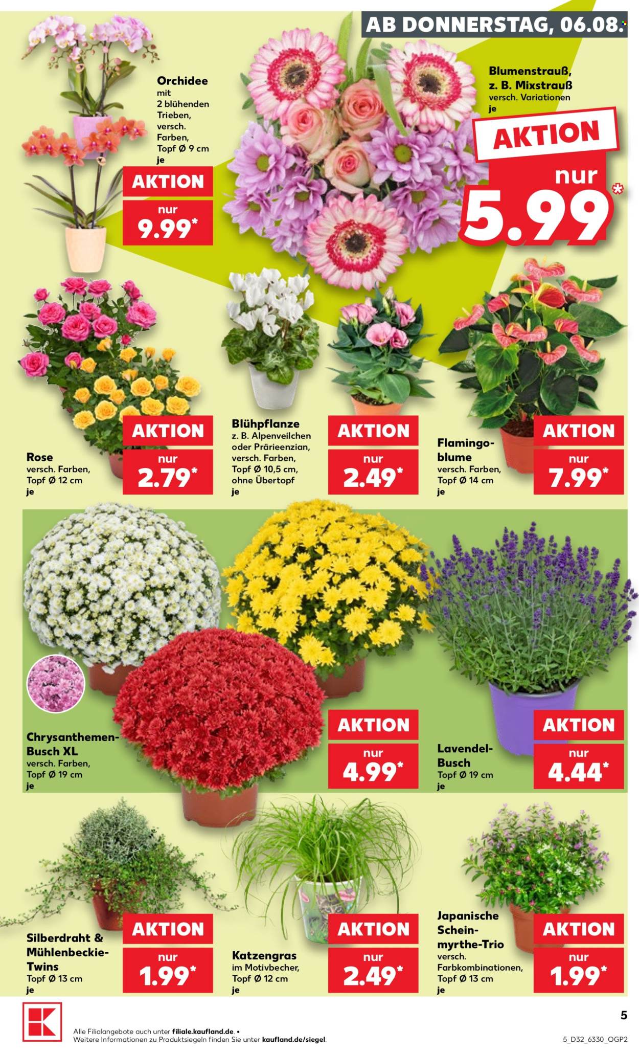 Kaufland Prospekte  - 6.08.2026 - 12.08.2026. Seite 5