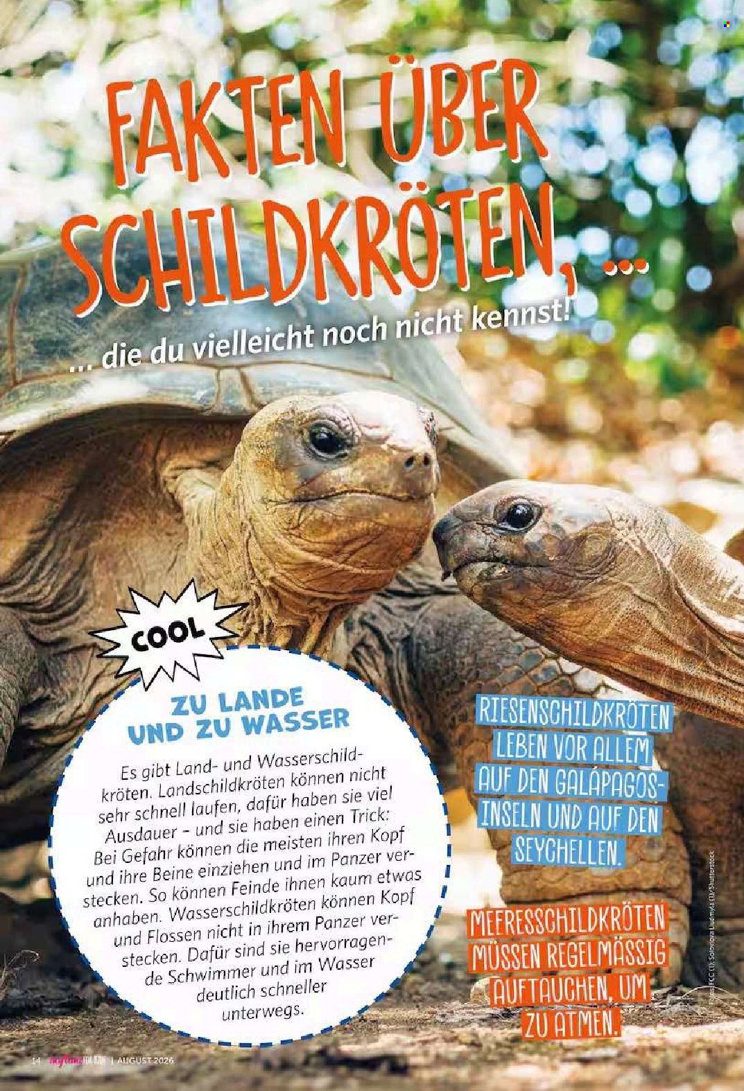 famila Prospekte  - 1.08.2026 - 31.08.2026. Seite 93