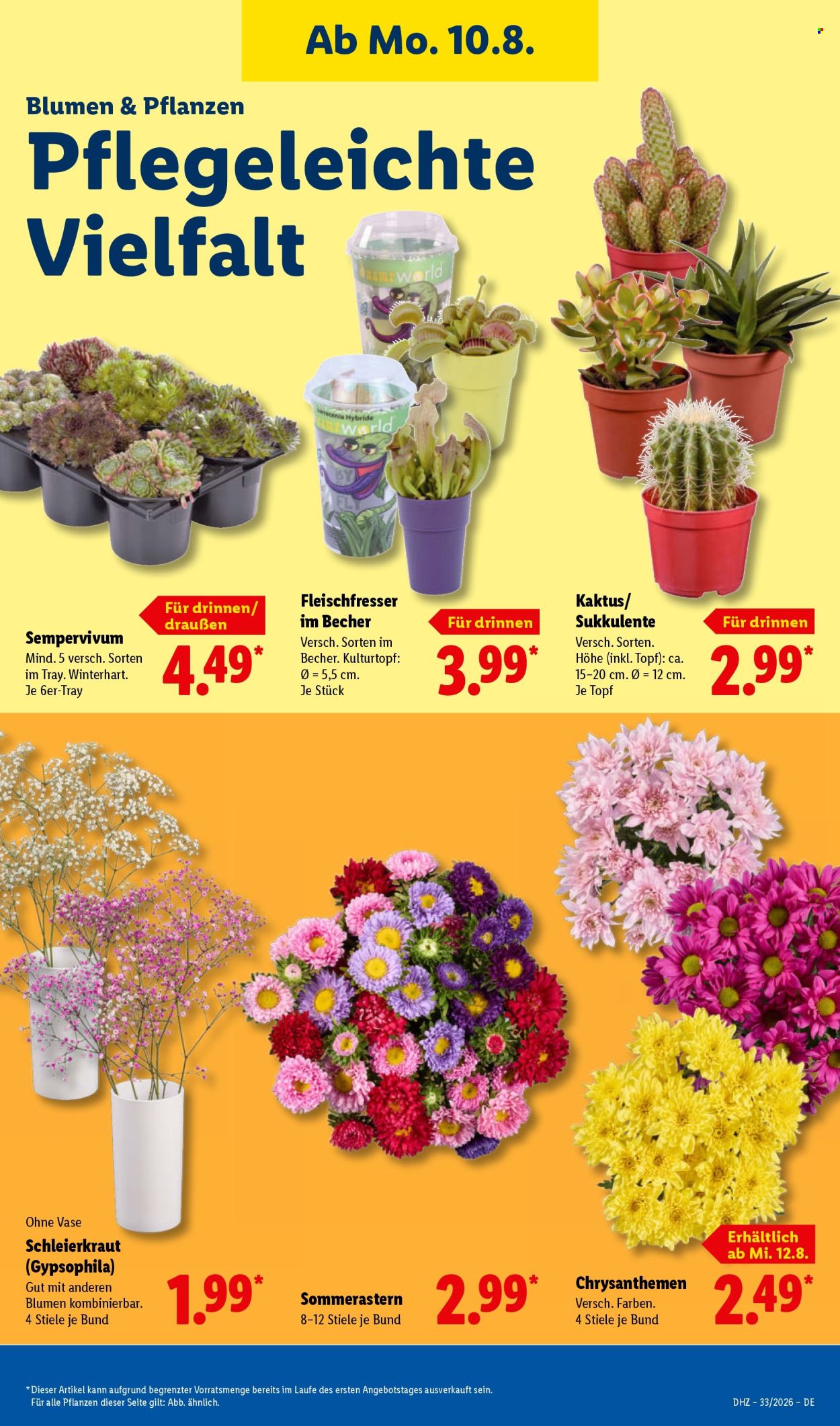 Lidl Prospekte  - 10.08.2026 - 15.08.2026. Seite 23