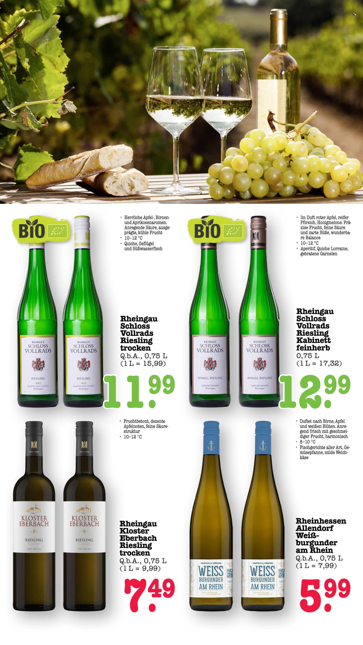 Scheck-in Prospekte  - 3.08.2026 - 8.08.2026. Seite 44