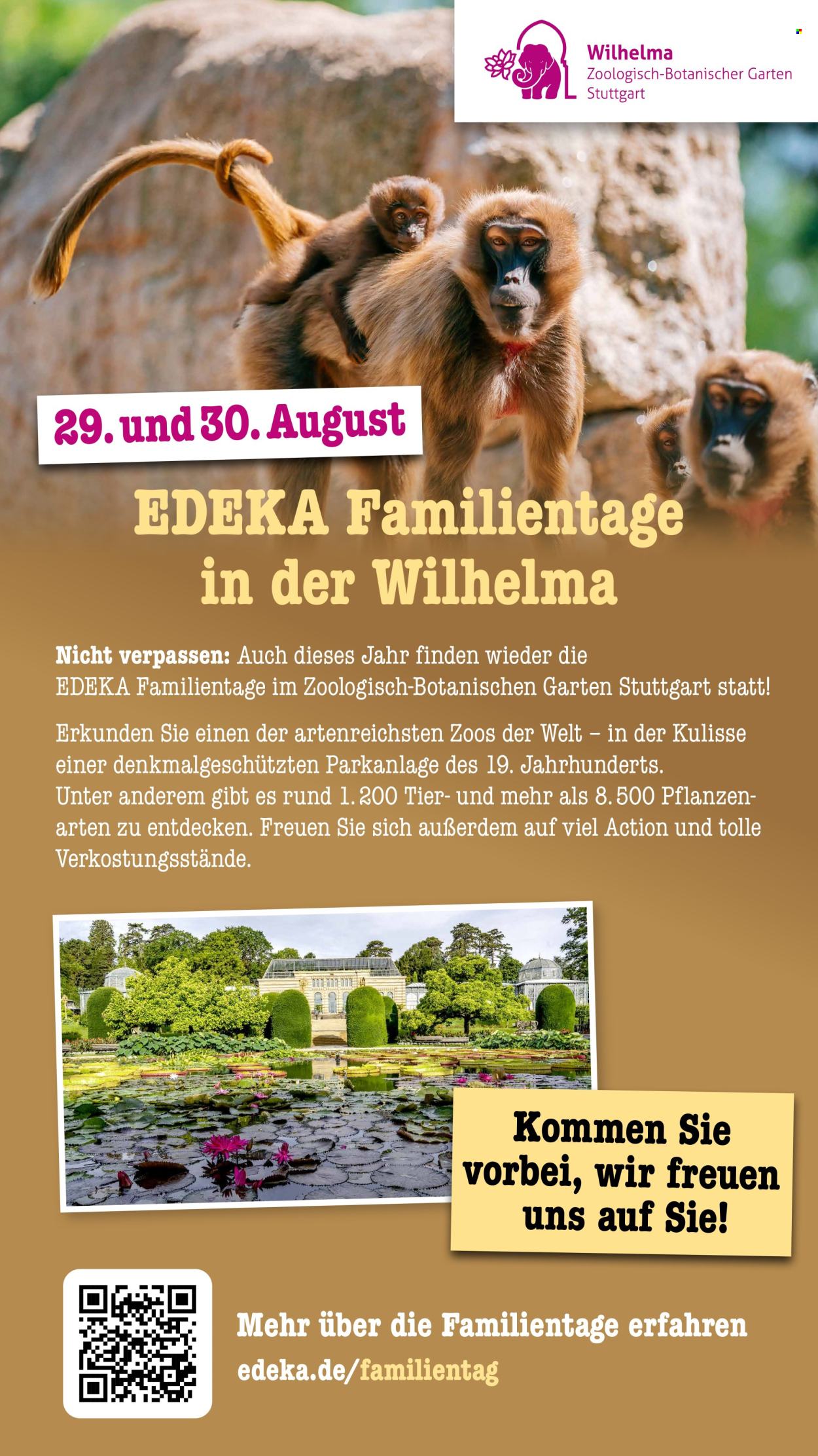 Scheck-in Prospekte  - 3.08.2026 - 8.08.2026. Seite 63