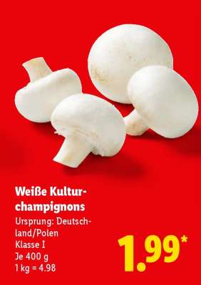 Weiße Kultur champignons