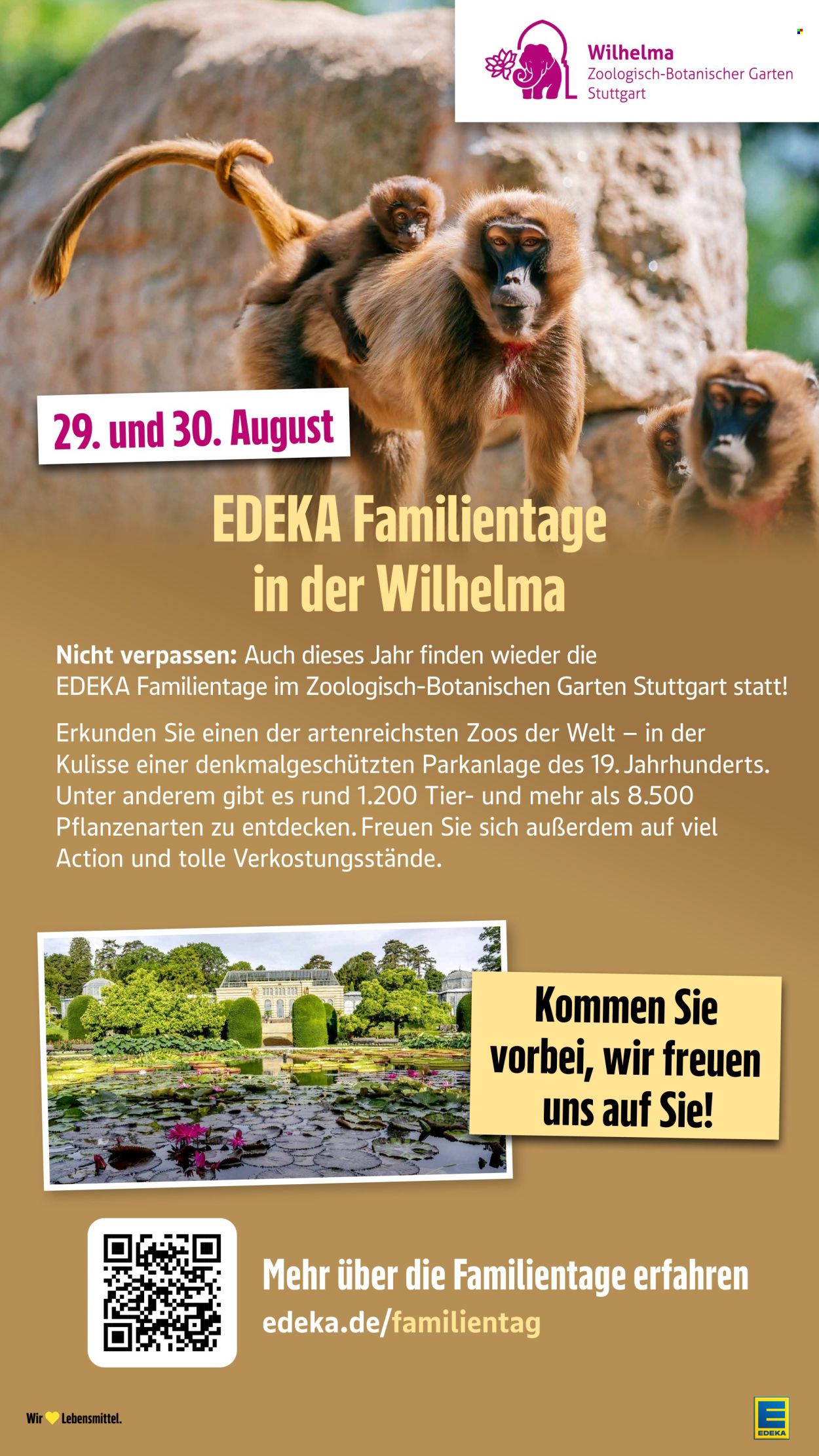 Edeka Prospekte  - 3.08.2026 - 8.08.2026. Seite 39