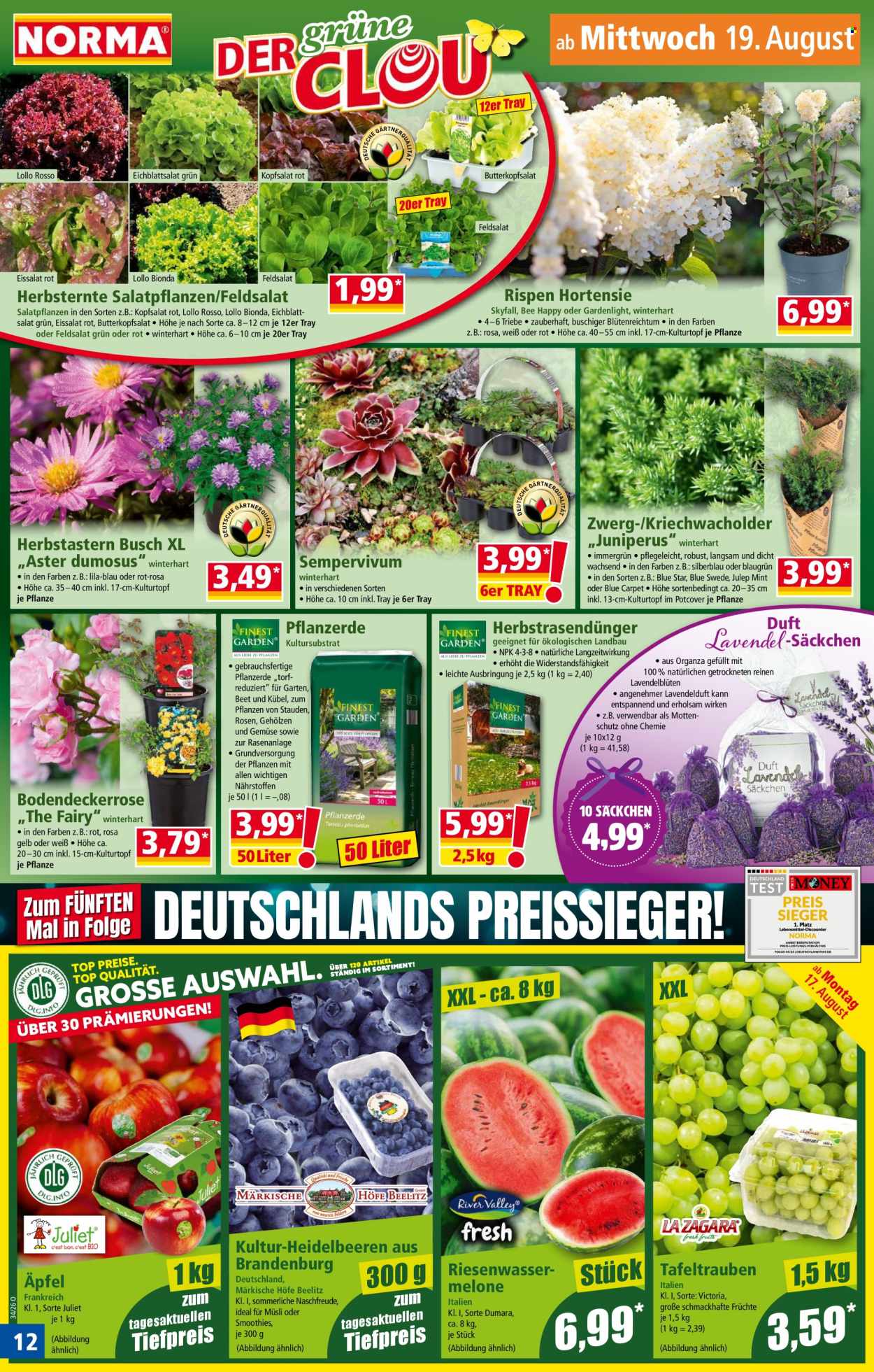Norma Prospekte  - 17.08.2026 - 23.08.2026. Seite 12