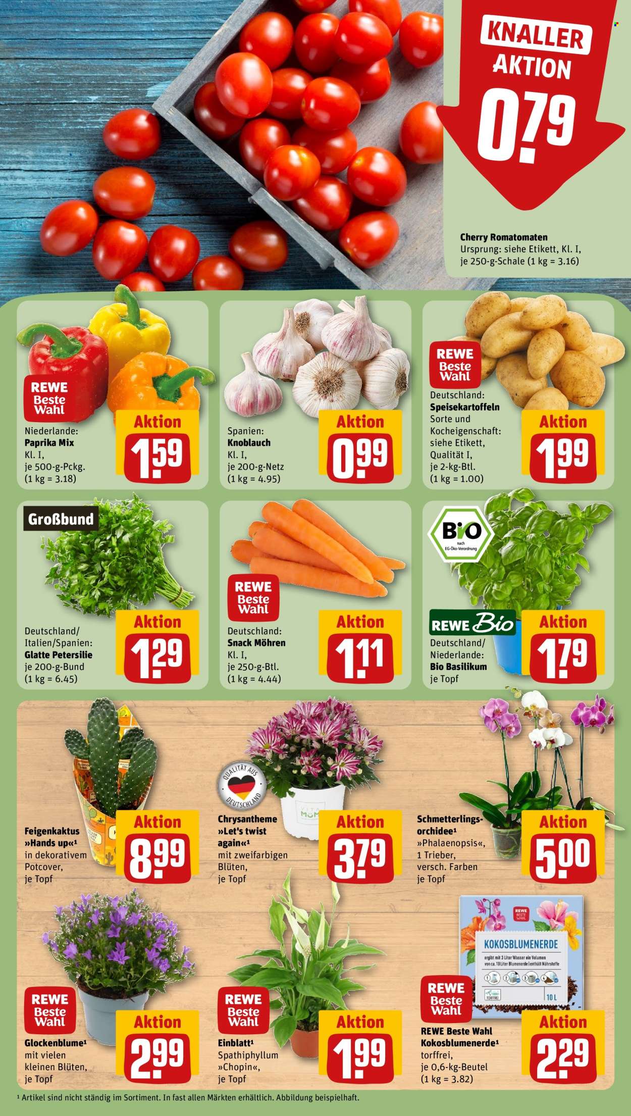 REWE Prospekte  - 10.08.2026 - 16.08.2026. Seite 5