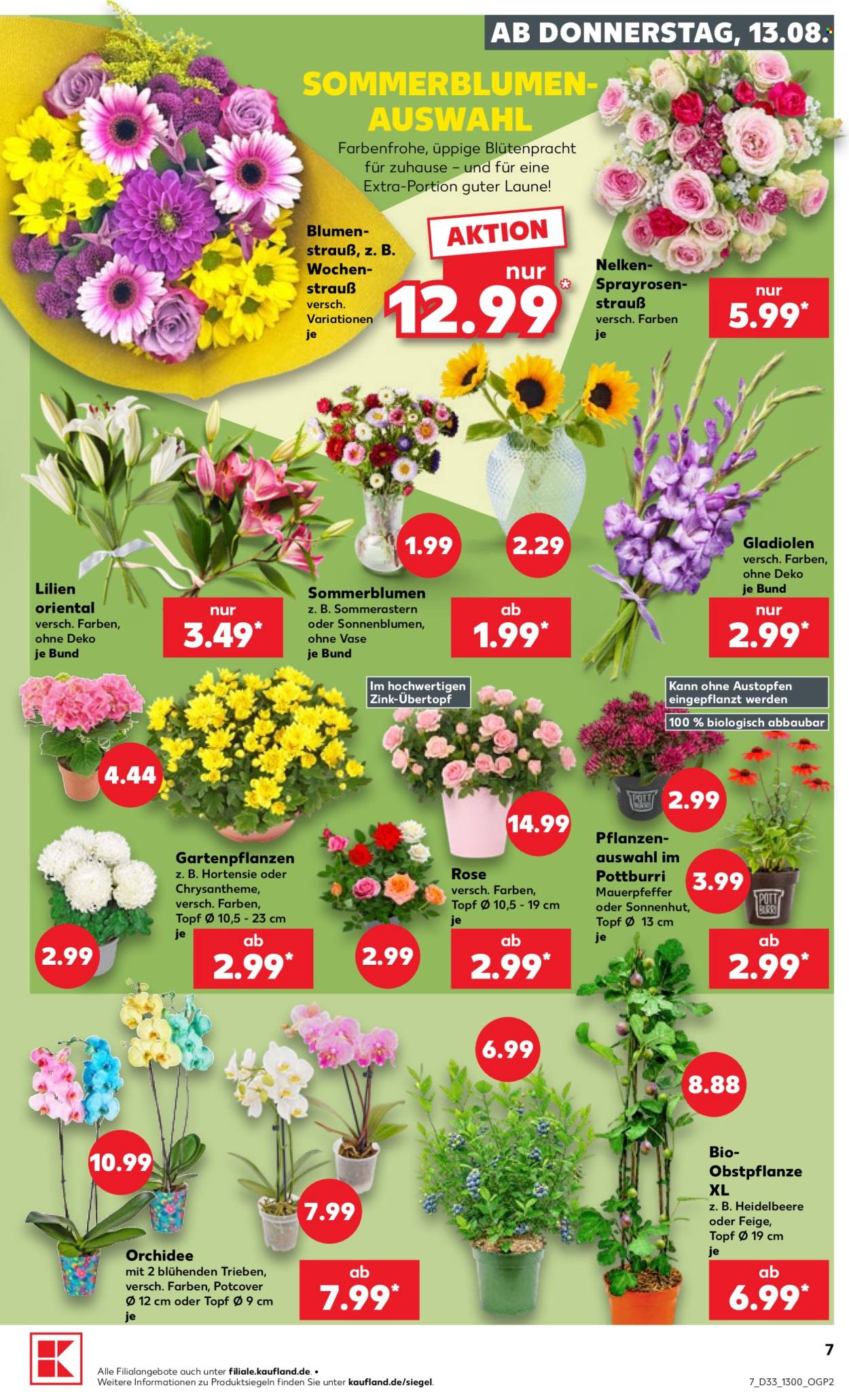 Kaufland Prospekte  - 13.08.2026 - 19.08.2026. Seite 7