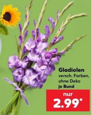 Gladiolen*