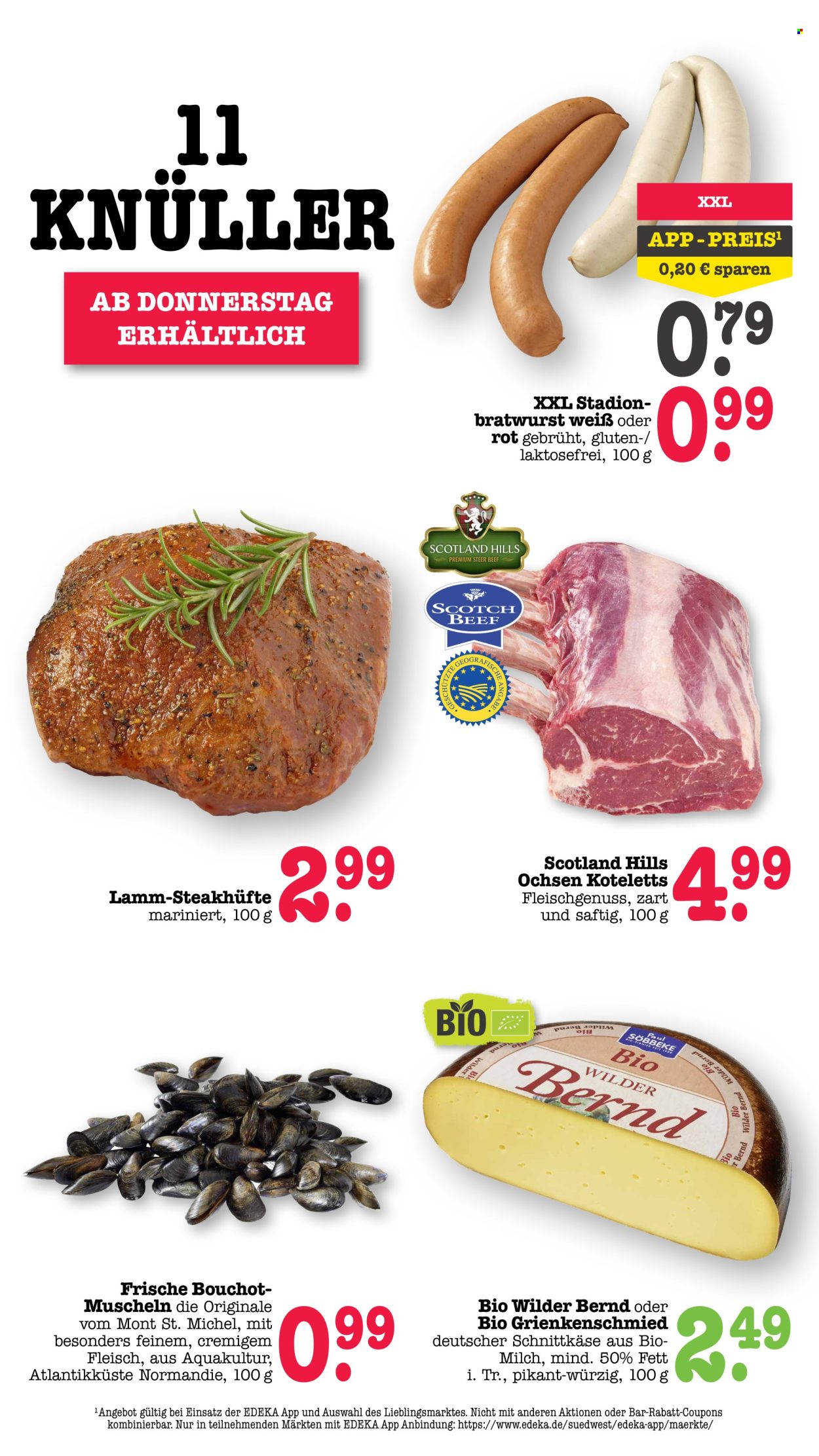 Scheck-in Prospekte  - 10.08.2026 - 15.08.2026. Seite 66